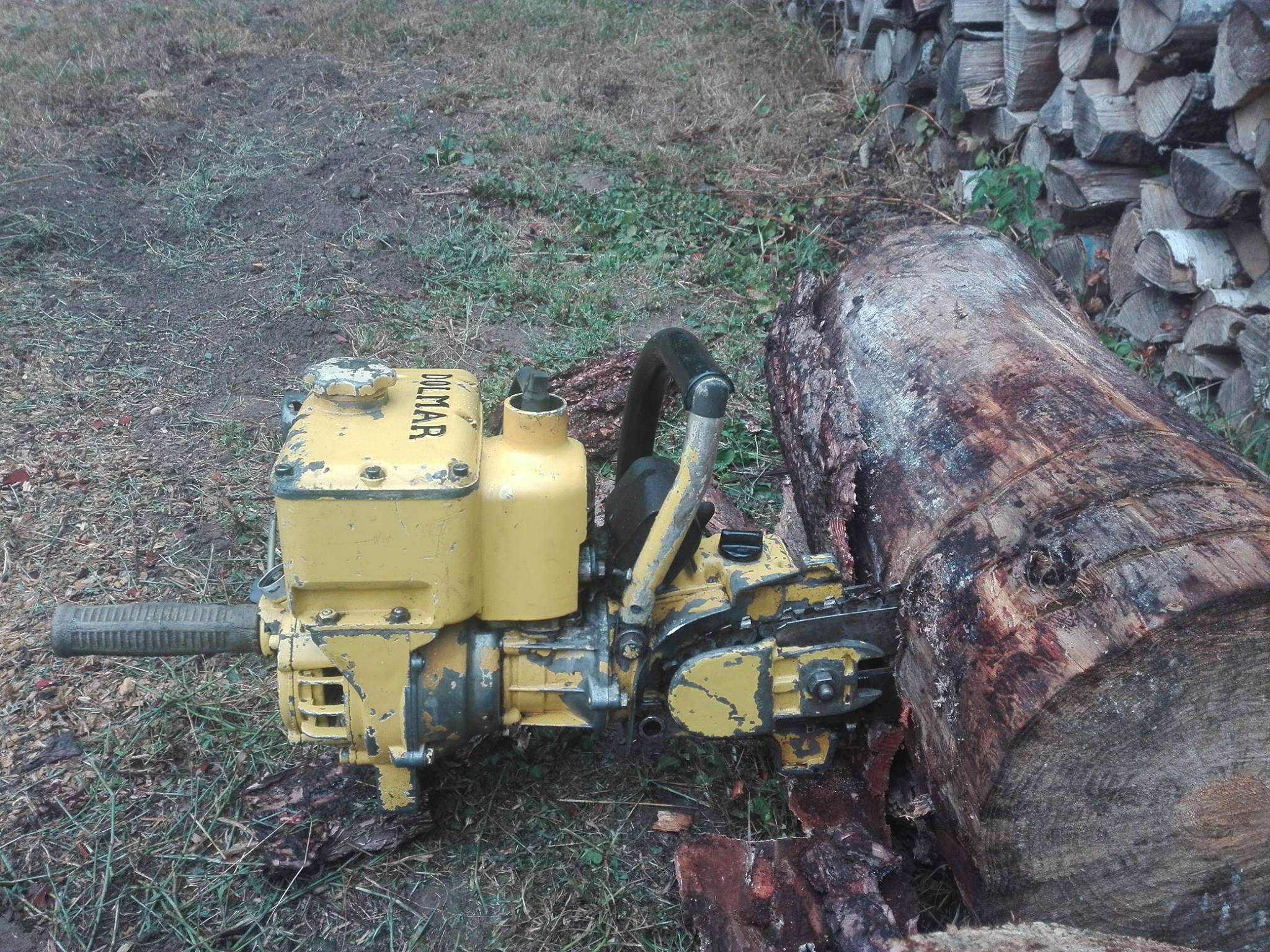 DOLMAR CF