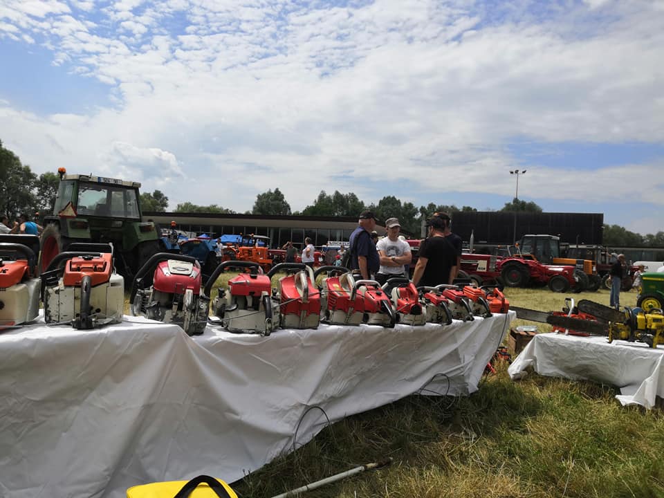 67331006_1349012335257864_4205156626442747904_n Exposition à SÉLESTAT : 27/07/2019