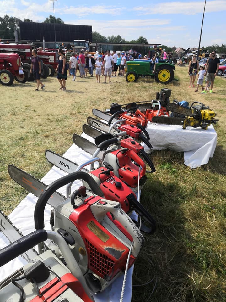 67402946_1349012301924534_2243809478002606080_n Exposition à SÉLESTAT : 27/07/2019